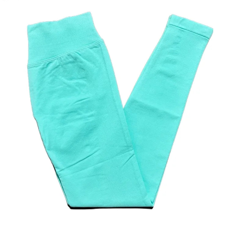 SculptLift Seamless Leggings