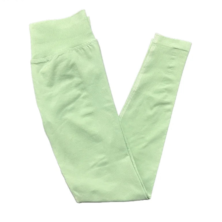 SculptLift Seamless Leggings